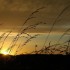 Lumière du soir