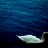 La pêche en eau douce