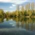 Parure d'automne.