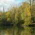 Parure d'automne.