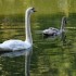 Nature, au petit matin!