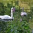 Nature, au petit matin!