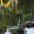 Nature, au petit matin!