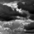 Juillet, quand la nature nous 