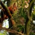 Au petit matin, la nature. Chu