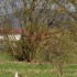 La nature dans toute sa beaut
