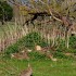 La nature dans toute sa beaut