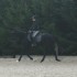Dressage
