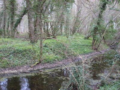 Site probable d’une ancienne motte castrale à Mussy (2)