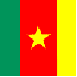 La Constitution du Cameroun