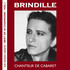 Chanteur de cabaret - Best of Brindille 20 chansons