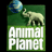 The animals save the planet