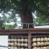 Visite du temple Meiji