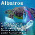 The new logo of albatross