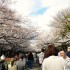 07/04/2012 : Le parc de Ueno