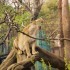 06/04/2012 : Le zoo de Ueno