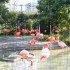 06/04/2012 : Le zoo de Ueno