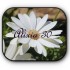 alixia30:Alixia30