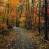 AUTOMNE