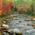AUTOMNE