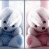 coucou a tout le monde
