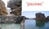 madère porto Moniz