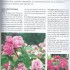 les rosiers botaniques