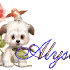 Alison ; Allyson ;Alyson; Alys