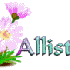 Allister