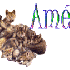 Amédéo