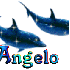 Angélo