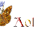 Aolé