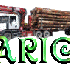Ario