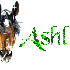Ashley