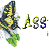 Assia ;Assiya ;Assya
