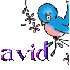 David