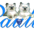 Paulin; Pauline