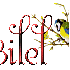 bilel ; billel