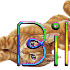 bili ; billi ; billie ;billy