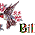 bilel ; billel