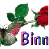 binnur