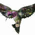 trop beau l'oiseau