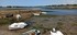 Ile de Saint Cado en Bretagne