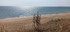 Ile de Saint Cado en Bretagne