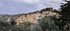 Bormes les Mimosas