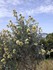 Domaine du Rayol