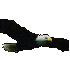 Skinno