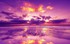 Le ciel est rose en Bretagne p