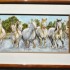 Chevaux de Camargue