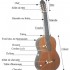 Cours de guitare pour enfants 